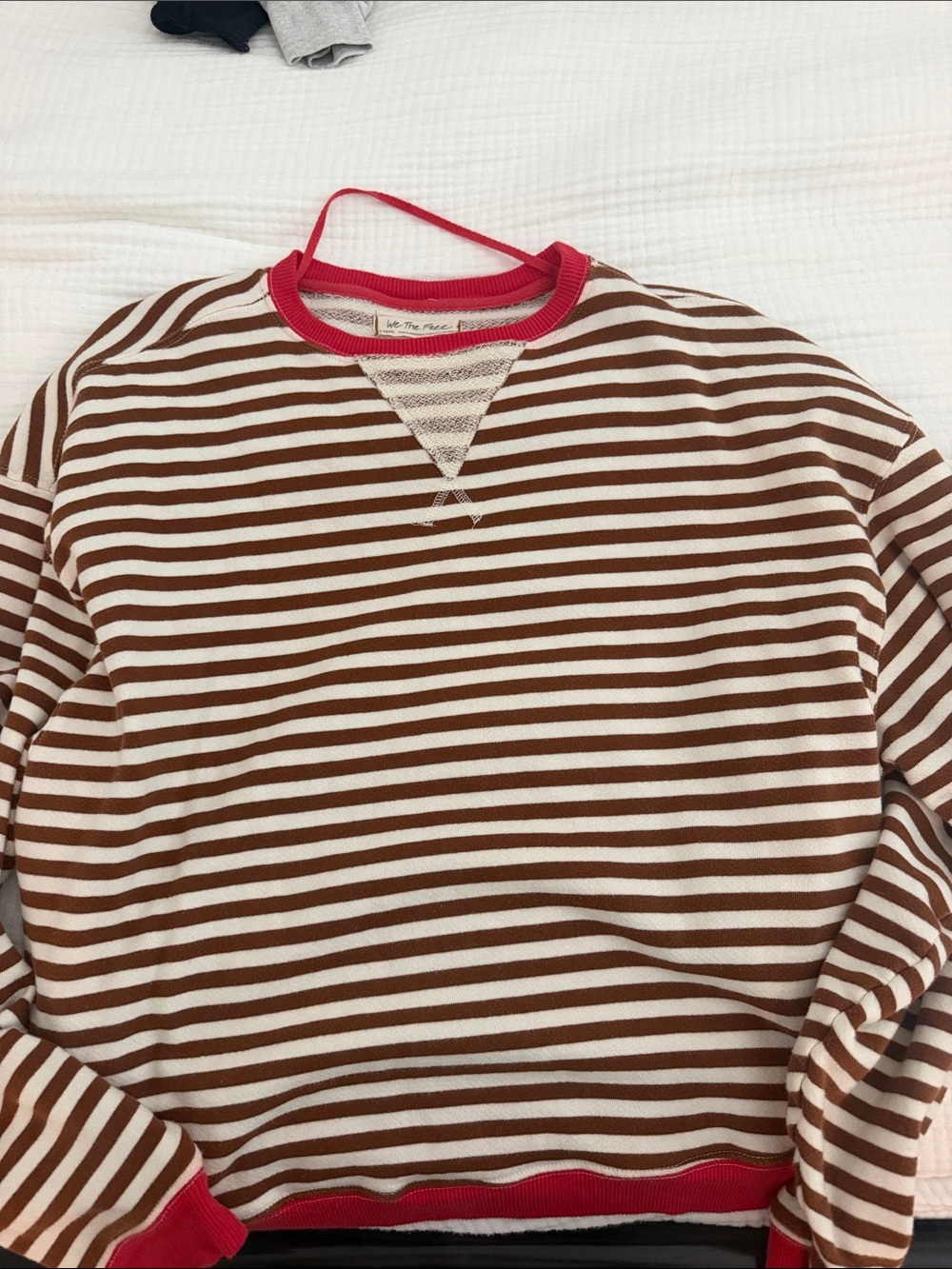 We The Free Brown and Cream Striped Crewneck with Red Trim